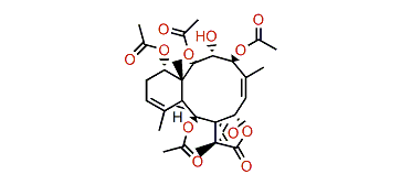 Briarlide P